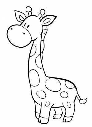 Раскраска жираф для детей 3 4 лет #30 #77578