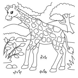 Раскраска жираф для детей 4 5 лет #2 #77589