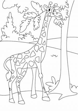 Раскраска жираф для детей 4 5 лет #10 #77597