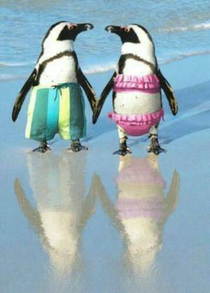 Раскраска забавный пингвин #21 #77823