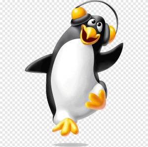 Раскраска забавный пингвин #25 #77827