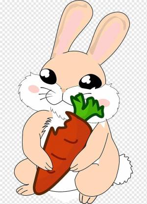 Раскраска заяц с морковкой #5 #79030