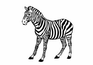 Раскраска зебра для детей #12 #79435