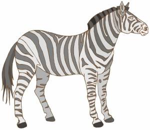 Раскраска зебра для детей #14 #79437