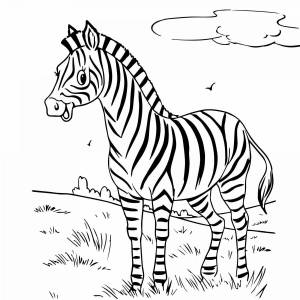 Раскраска зебра для детей #15 #79438