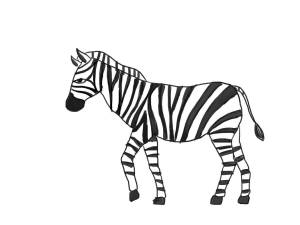 Раскраска зебра для детей #19 #79442