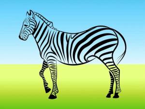 Раскраска зебра для детей #26 #79449
