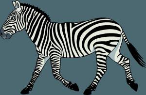 Раскраска зебра для детей #27 #79450