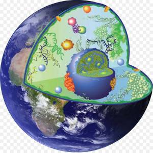 Раскраска земля планета для детей #13 #79520