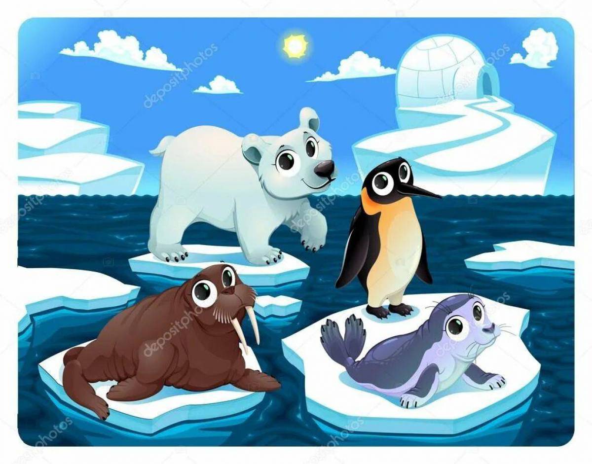 Животные арктики и антарктики для детей #22