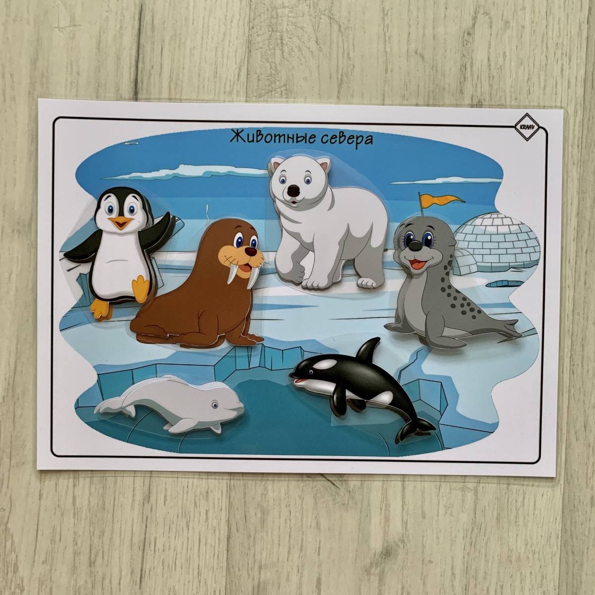 Животные арктики и антарктики для детей #26