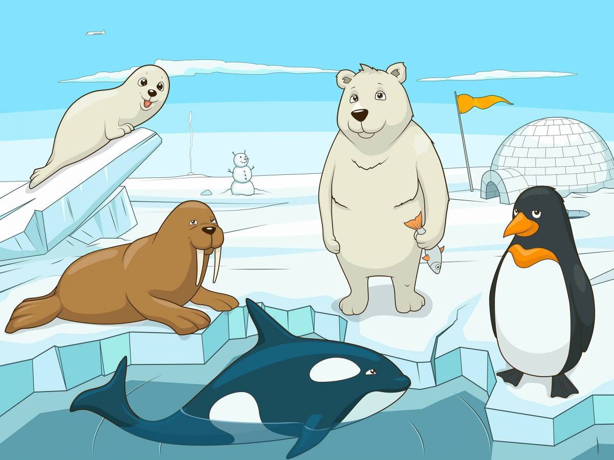 Животные арктики и антарктики для детей #38