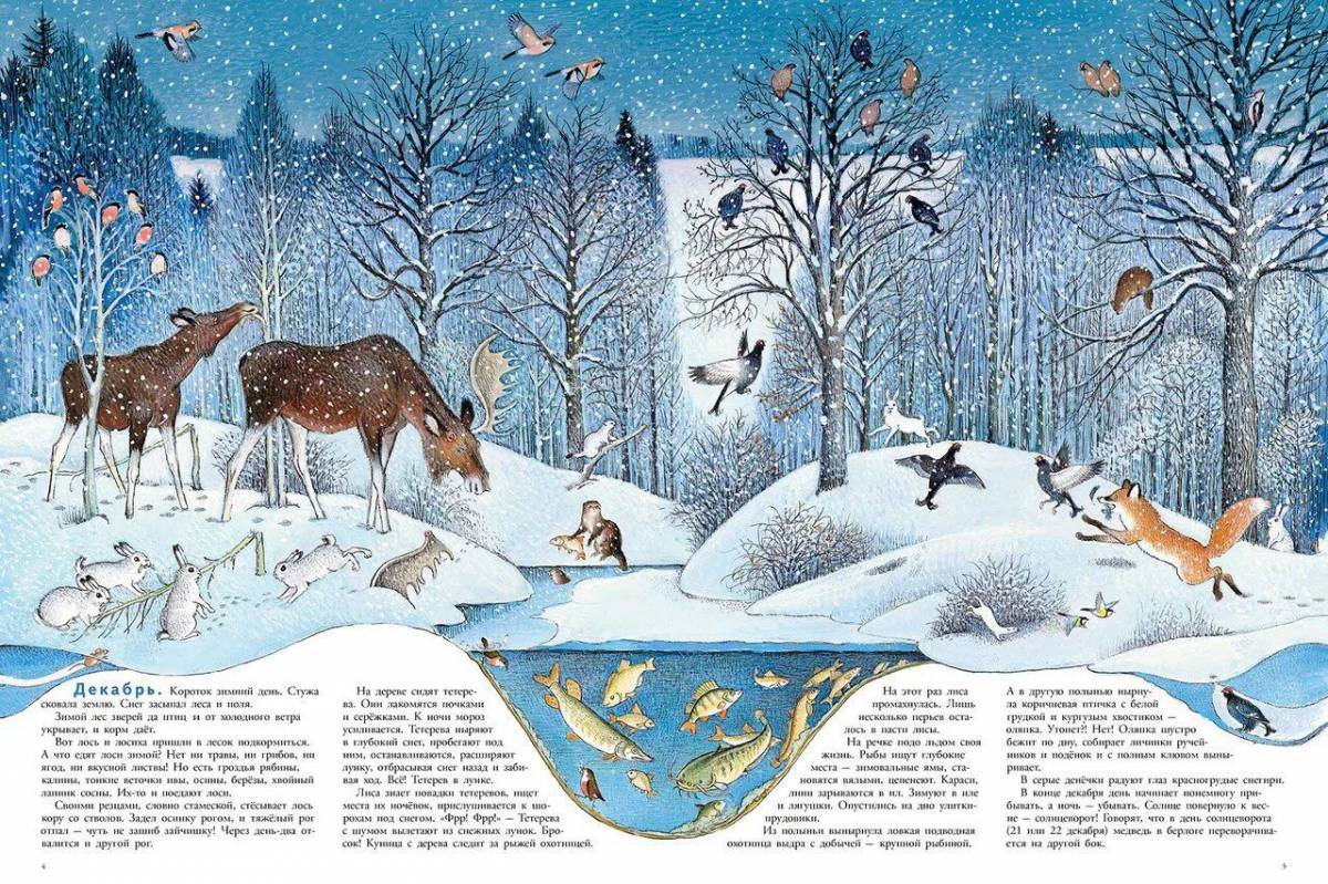 Животные зимой в лесу для детей #8