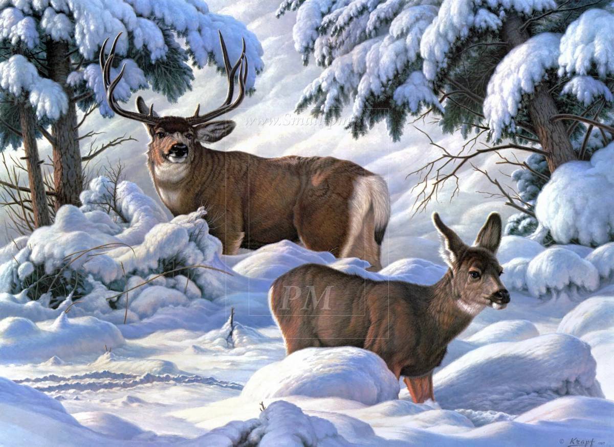 Животные зимой в лесу для детей #9