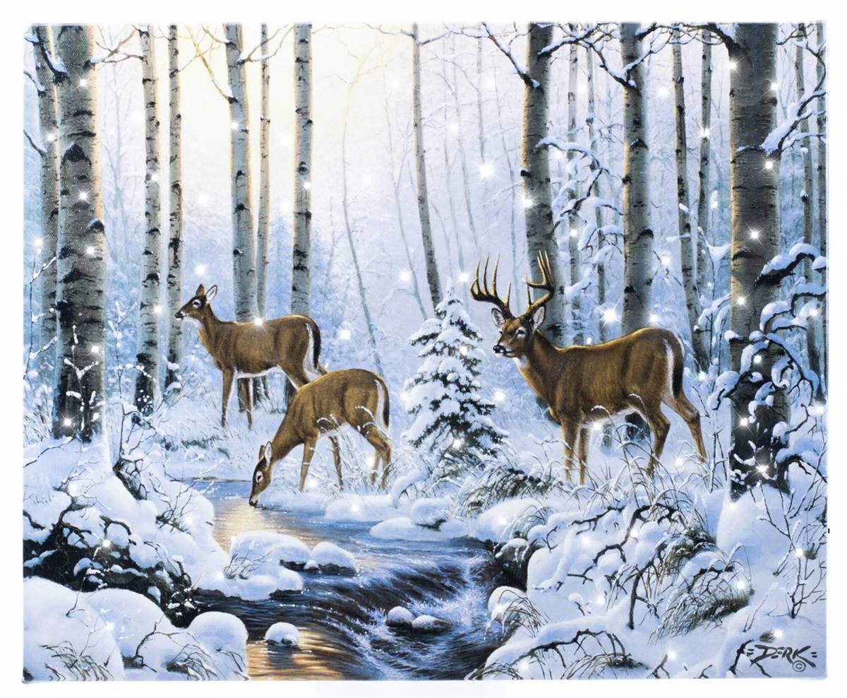 Животные зимой в лесу для детей #17