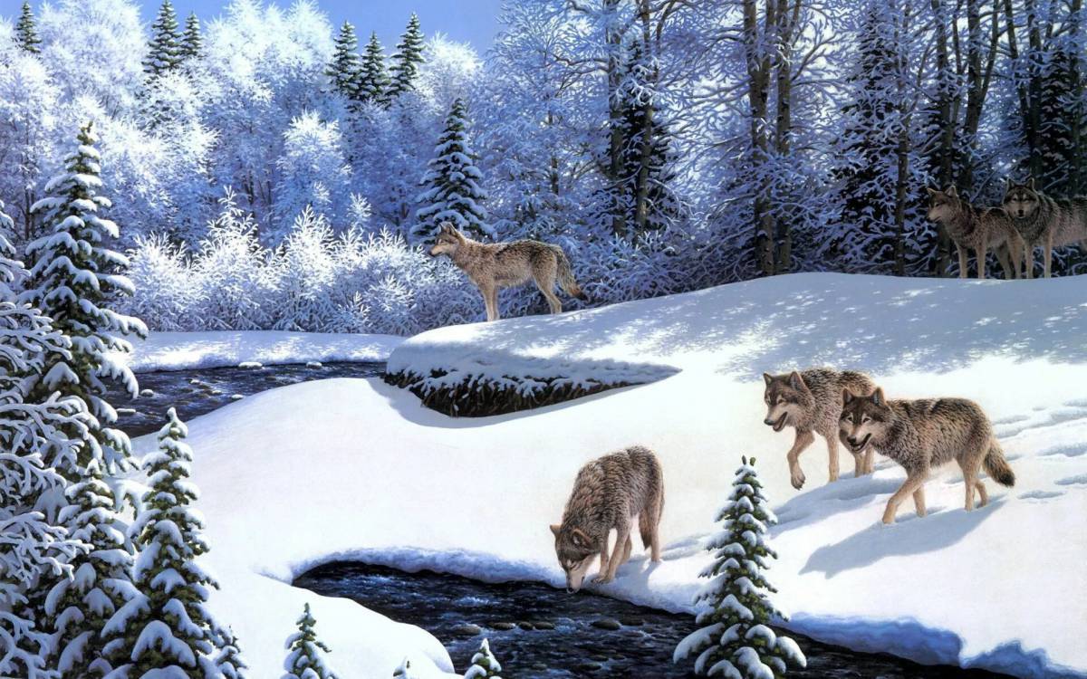 Животные зимой в лесу для детей #19