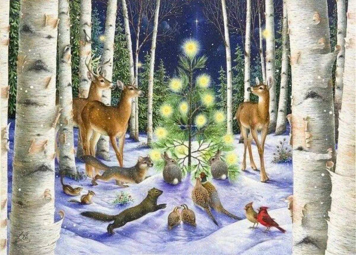 Животные зимой в лесу для детей #20