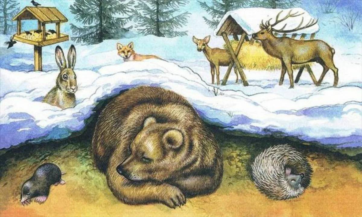 Животные зимой в лесу для детей #22