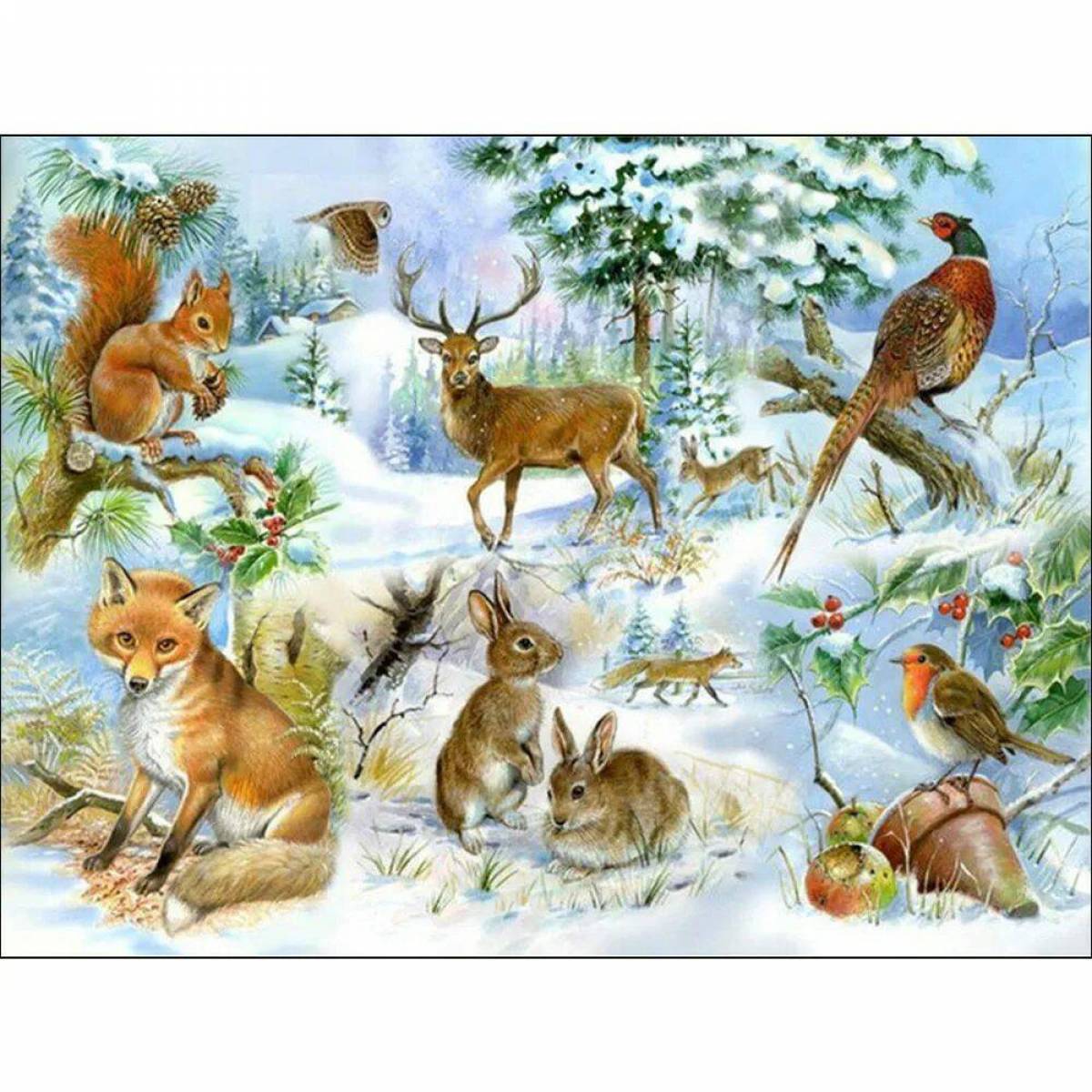 Животные зимой в лесу для детей #23