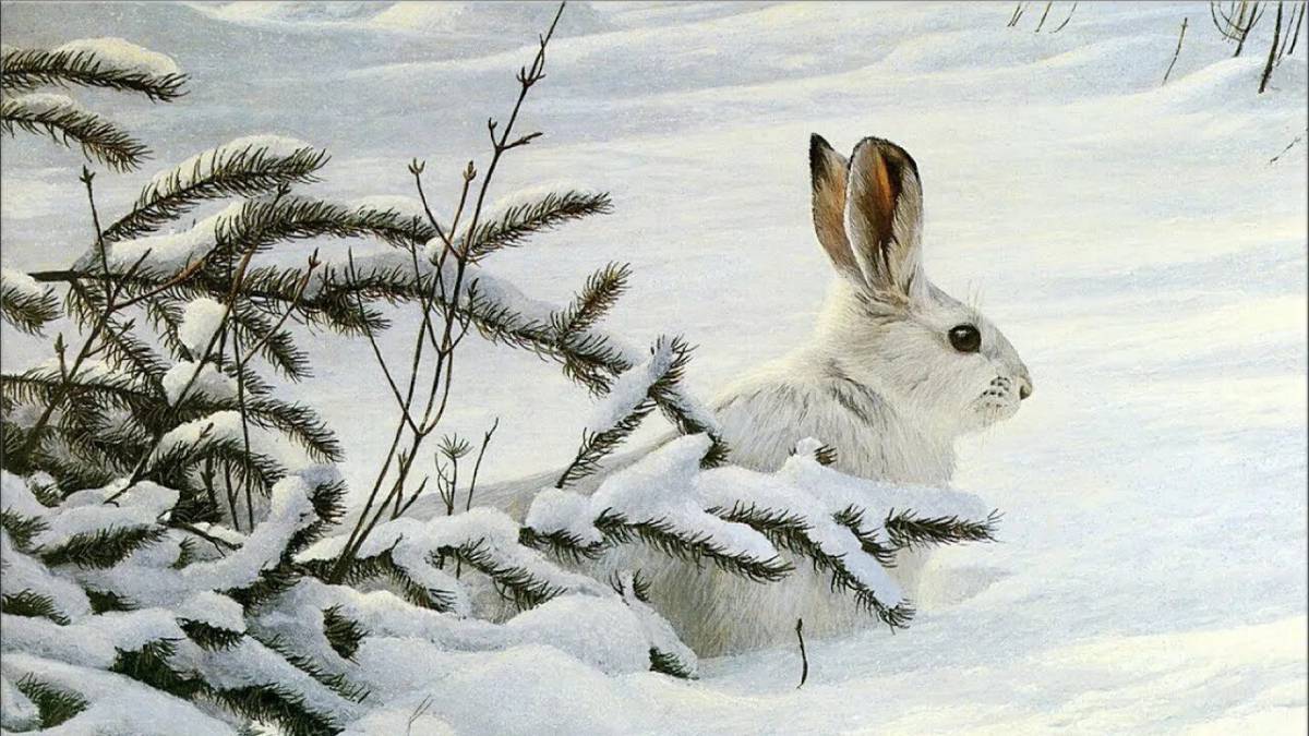 Животные зимой в лесу для детей #26