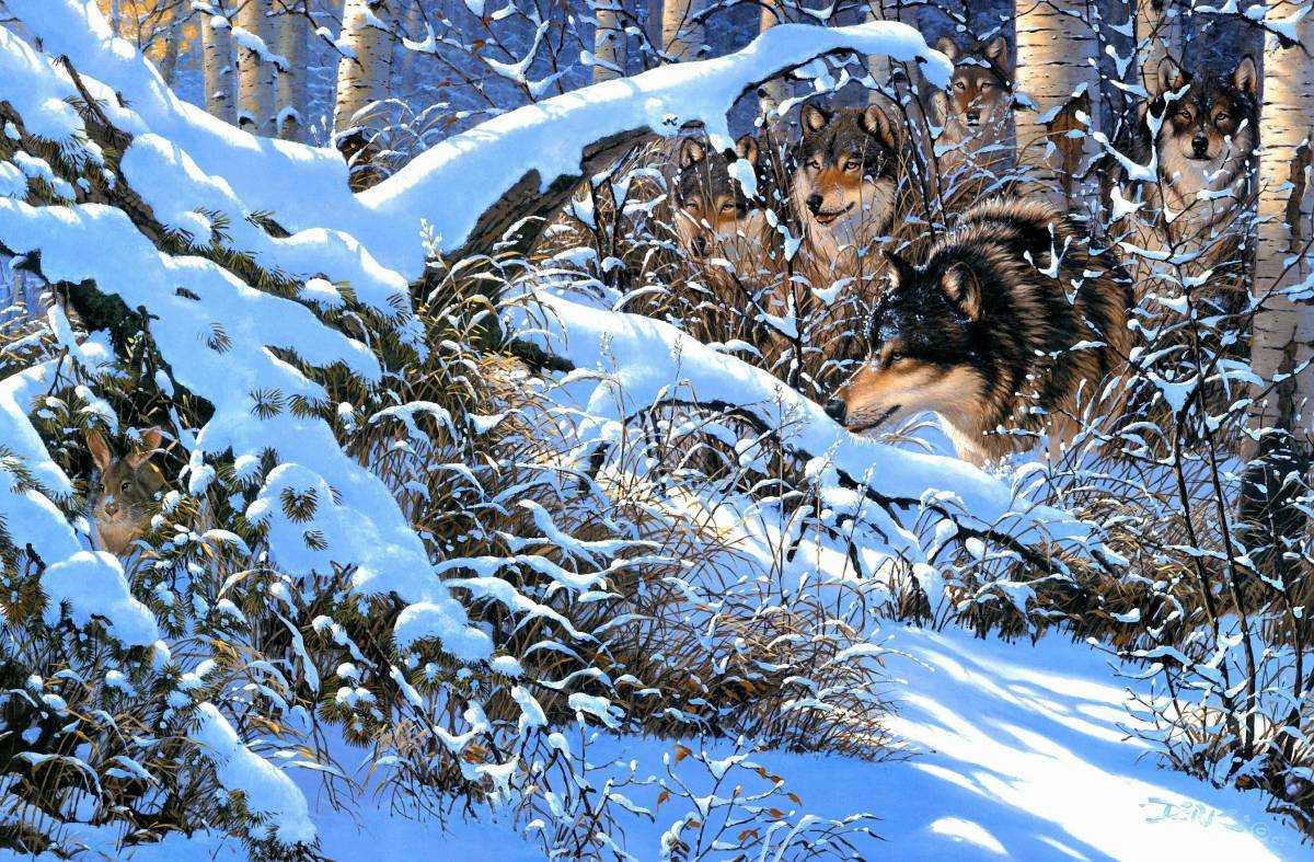 Животные зимой в лесу для детей #28