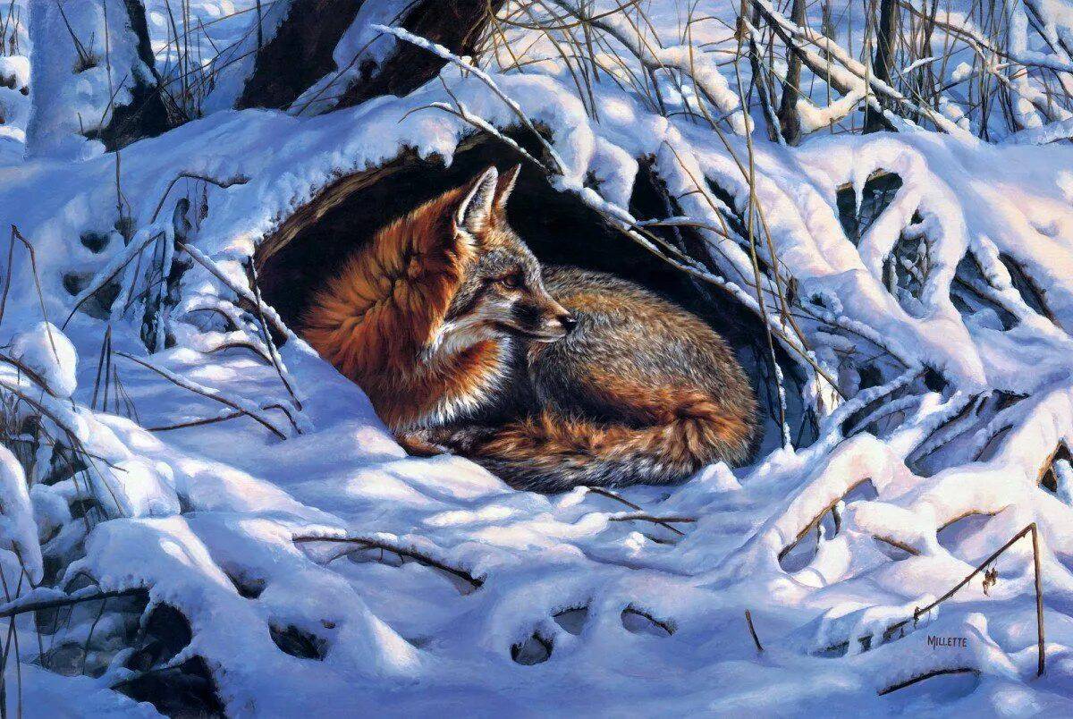 Животные зимой в лесу для детей #35