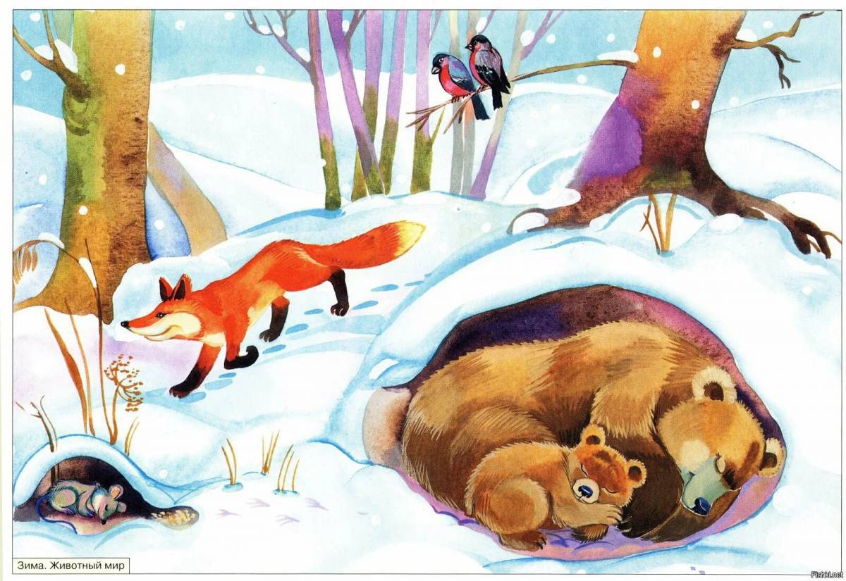 Животные зимой в лесу для детей #36