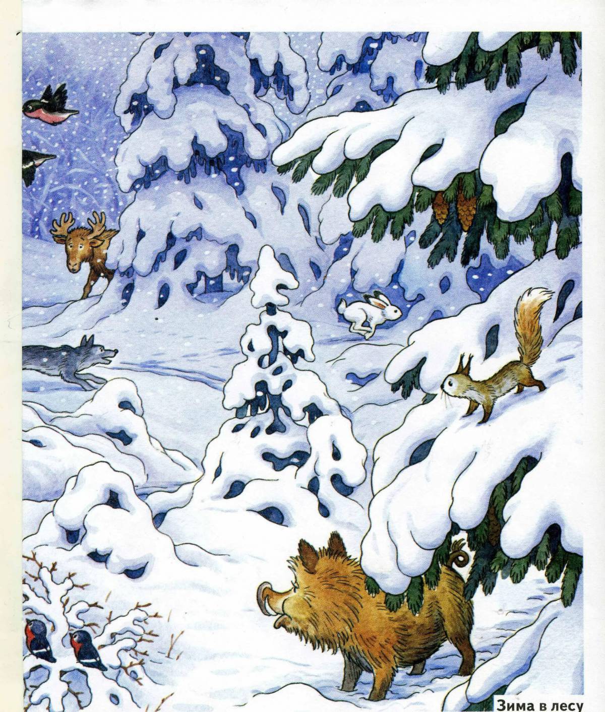 Животные зимой в лесу для детей #37