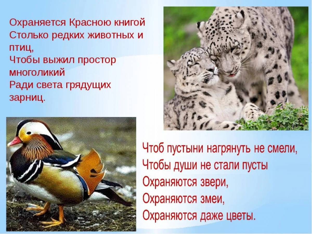 Животные красной книги россии #10