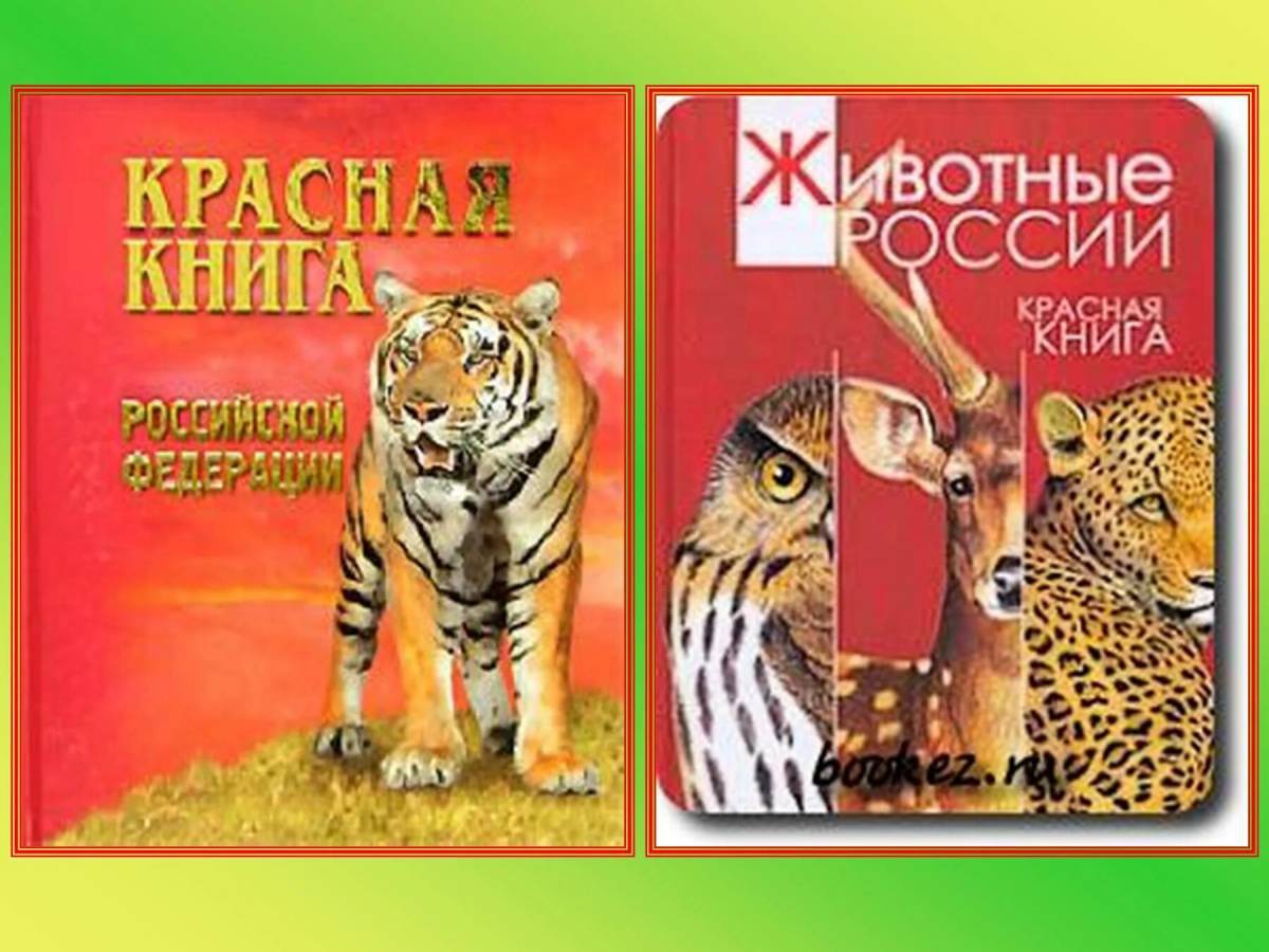 Животные красной книги россии #20