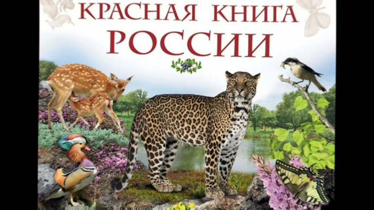 Животные красной книги россии #24