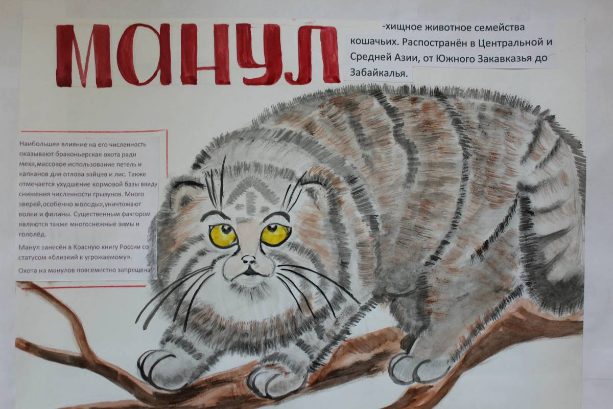 Животные красной книги россии #28