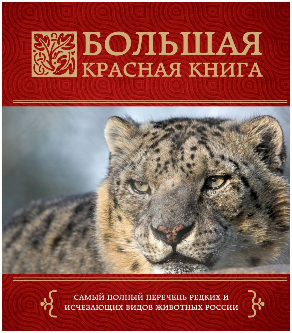 Животные красной книги россии #31