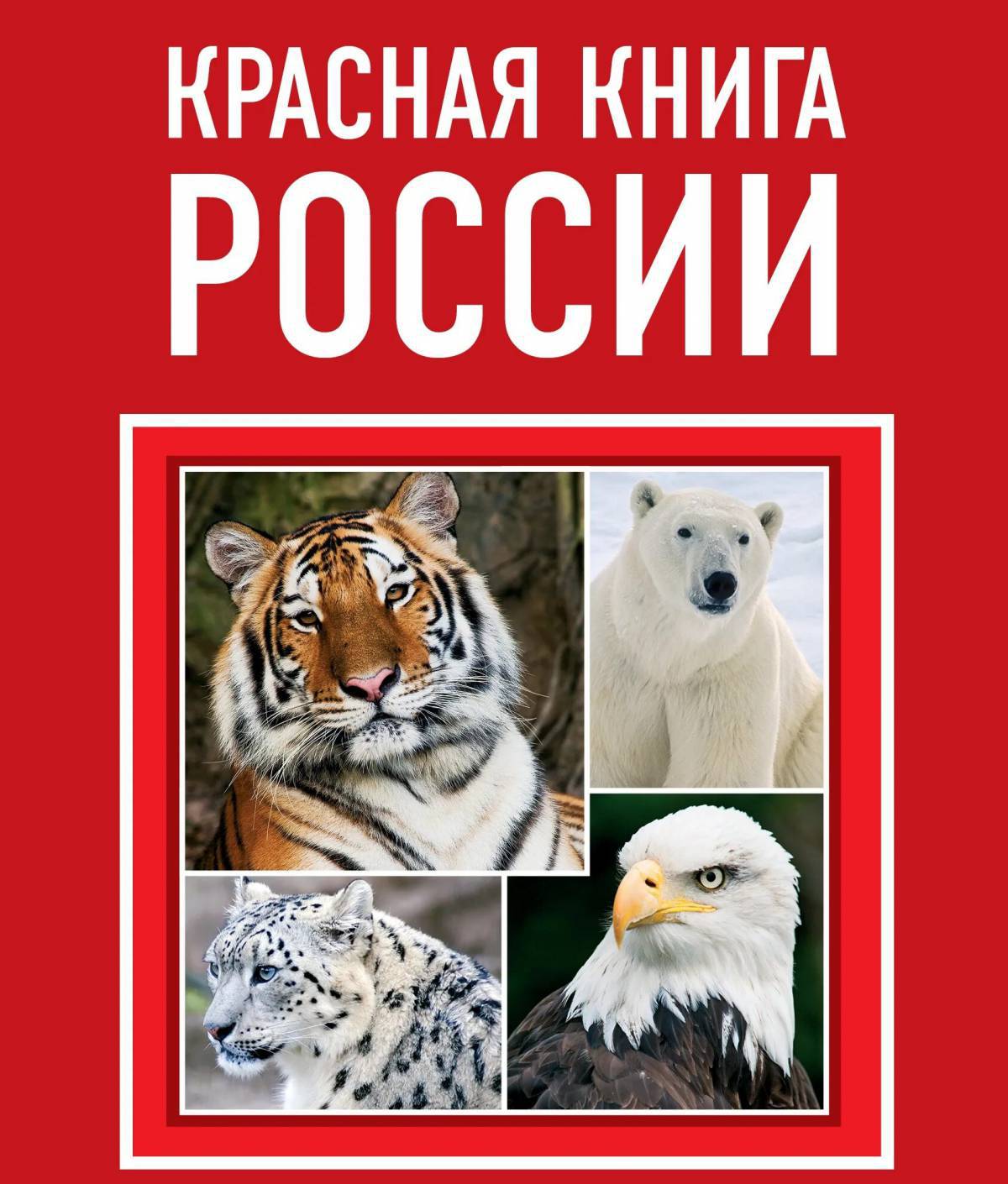 Животные красной книги россии #34