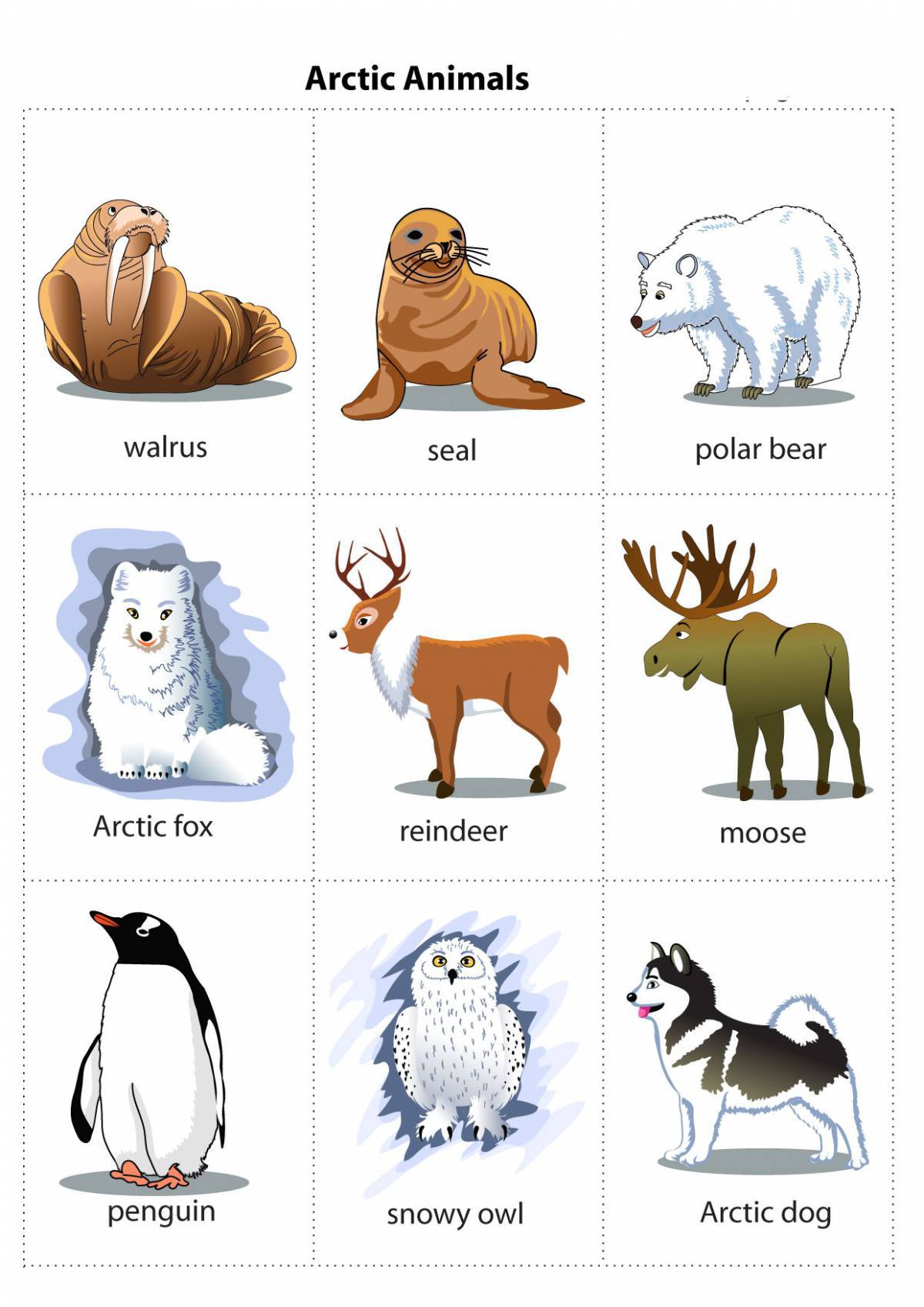 Животные севера для дошкольников #21