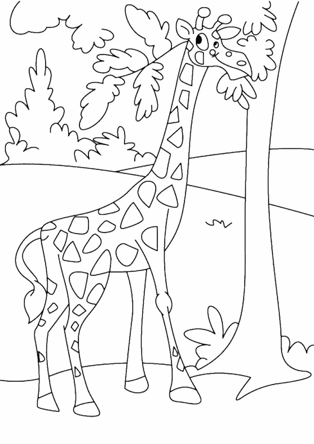 Жираф для детей 4 5 лет #10