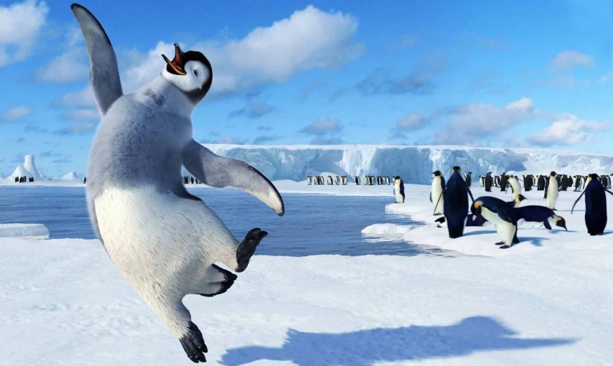 Забавный пингвин #10