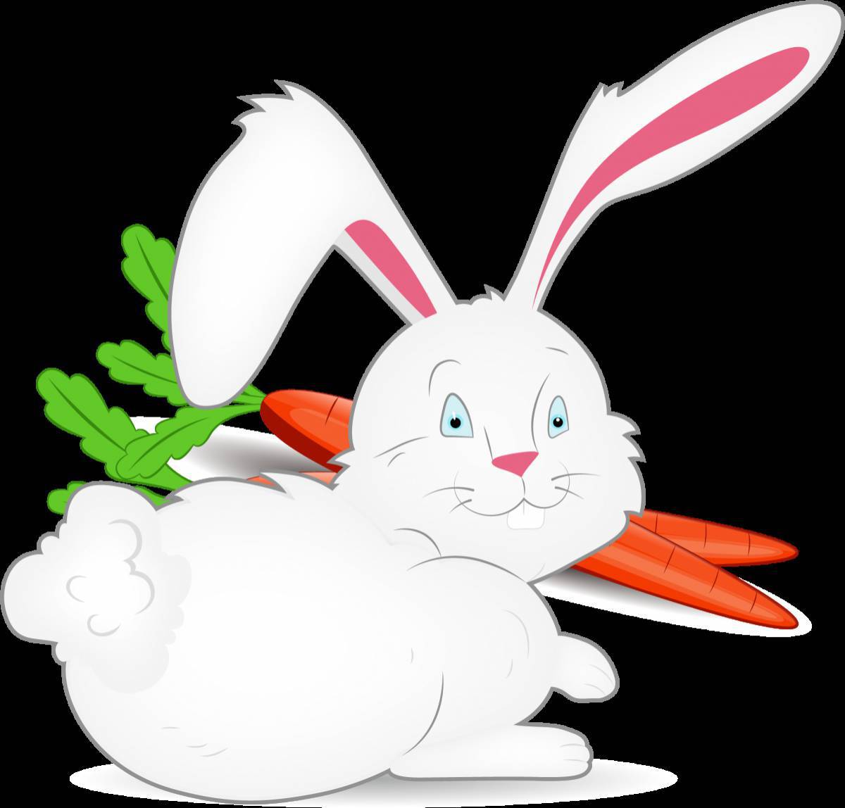Заяц с морковкой #33