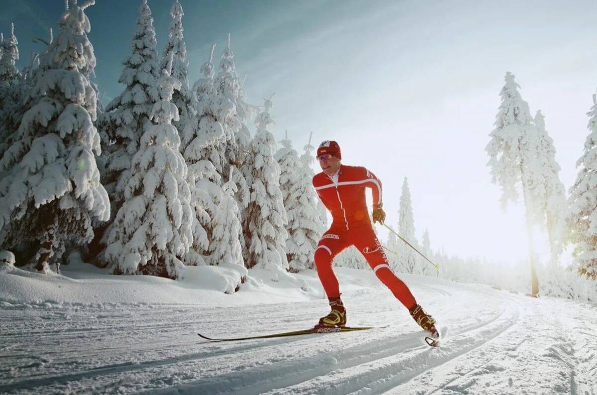 Зимние виды спорта лыжный спорт