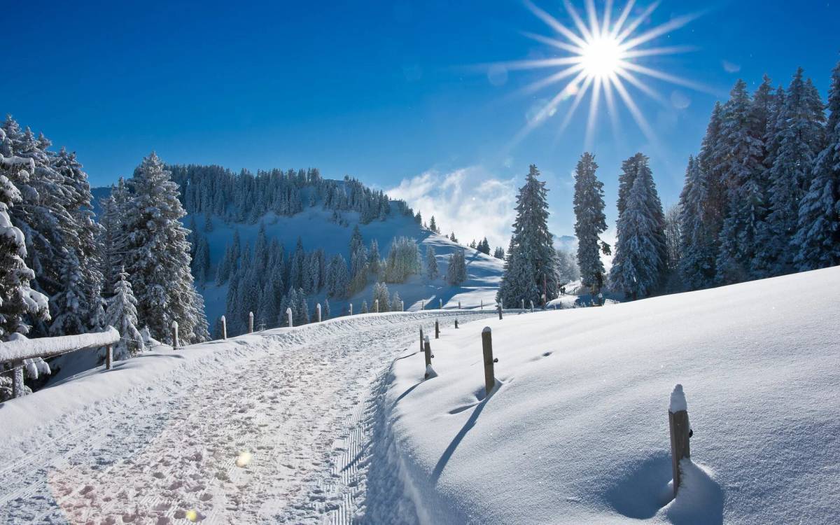 красивые зимние фото природы