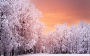 Раскраска зимняя природа #7 #81395