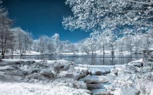 Раскраска зимняя природа #12 #81400