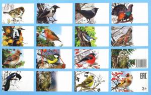 Раскраска зимующие птицы для детей #21 #81523