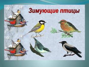 Раскраска зимующие птицы для детей #31 #81533