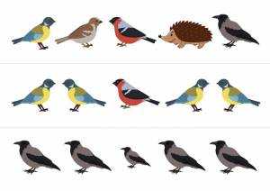 Раскраска зимующие птицы для детей 3 4 года #16 #81557
