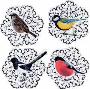 Раскраска зимующие птицы для детей 3 4 года #30 #81571