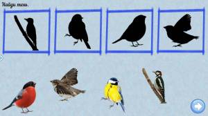 Раскраска зимующие птицы для детей 4 5 #23 #81632