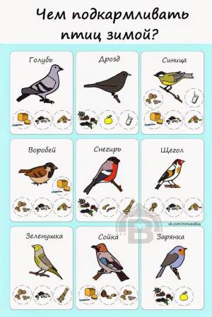 Раскраска зимующие птицы для дошкольников #30 #81756
