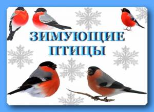 Раскраска зимующие птицы с названиями для детей #1 #81766