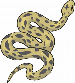 Раскраска змея для детей #4 #81864